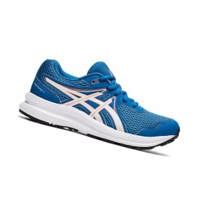 Asics CONTEND 7 GS Laufschuhe Kinder Blau | 087IQDAUC