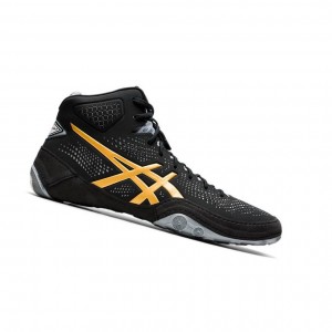 Asics DAN GABLE EVO 2 Wrestling Schuhe Herren Schwarz | 835RWICKQ