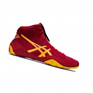 Asics DAN GABLE EVO 2 Wrestling Schuhe Herren Cranberry / Saffron | 123VDQBNW