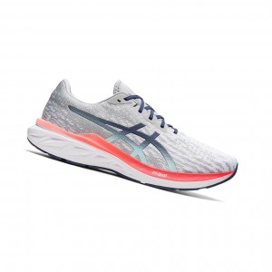Asics DYNABLAST Laufschuhe Herren Grau | 019UWKXFI