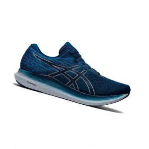 Asics EVORIDE 2 Laufschuhe Herren Blau | 723QOXWKP