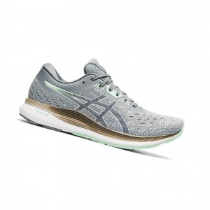 Asics EVORIDE Laufschuhe Damen Grau | 851HZVTFY