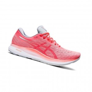 Asics EVORIDE Laufschuhe Damen Koralle | 259QKTGCP
