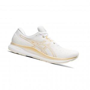 Asics EVORIDE Laufschuhe Damen Weiß | 423LIHCAE