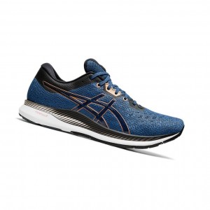 Asics EVORIDE Laufschuhe Herren Dunkelblau | 236VFBAZK