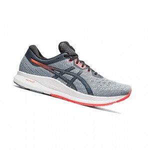 Asics EVORIDE Laufschuhe Herren Grau | 420JMTAGB
