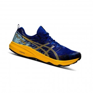 Asics FUJI LITE 2 Trailrunning Schuhe Herren Blau | 786EYZJNK