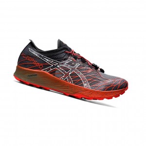 Asics Fuji Speed Trailrunning Schuhe Herren Schwarz | 289WRSPLU