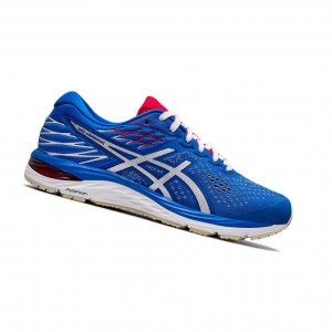 Asics GEL-CUMULUS 21 Retro Tokyo Laufschuhe Herren Blau | 614ACMRQY
