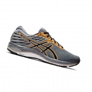 Asics GEL-CUMULUS 21 road Laufschuhe Herren Grau | 219RYKIMB