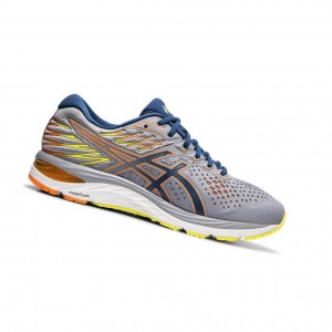 Asics GEL-CUMULUS 21 road Laufschuhe Herren Grau | 180OVJDNY