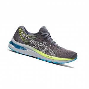 Asics GEL-CUMULUS 22 Laufschuhe Damen Grau | 568BUWLEF