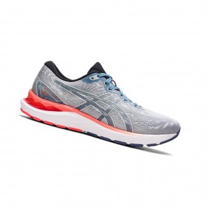 Asics GEL-CUMULUS 23 Laufschuhe Herren Grau | 476SLDFHR