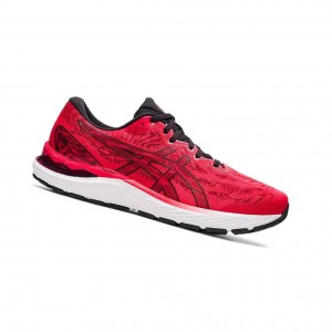 Asics GEL-CUMULUS 23 Laufschuhe Herren Rot | 095PDMSHZ