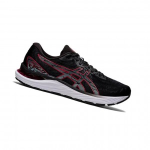 Asics GEL-CUMULUS 23 Laufschuhe Herren Schwarz | 985FYRXBN