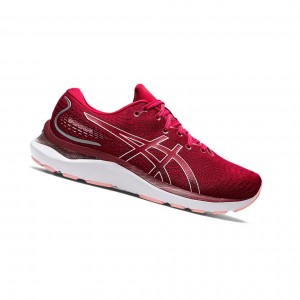 Asics GEL-CUMULUS 24 Laufschuhe Damen Rosa | 641MDREUF