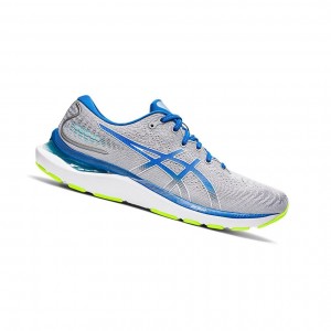 Asics GEL-CUMULUS 24 Laufschuhe Herren Sheet Rock / Lake Drive | 651GWTHBA