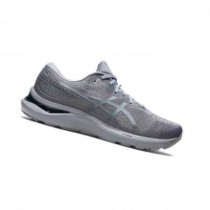Asics GEL-CUMULUS 24 Laufschuhe Herren Silber Grau | 973FEQWYH