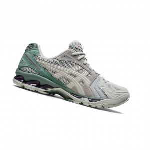 Asics GEL-KAYANO 14 Sneakers Herren Hellgrau | 386XNRBDK