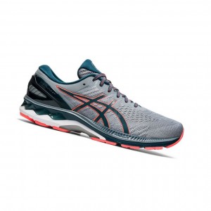 Asics GEL-KAYANO 27 Extra Weite Laufschuhe Herren Grau | 851COEPDF