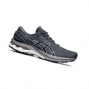 Asics GEL-KAYANO 27 Laufschuhe Herren Grau | 967STDXBG