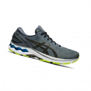 Asics GEL-KAYANO 27 Laufschuhe Herren Grau | 415TWPBRV