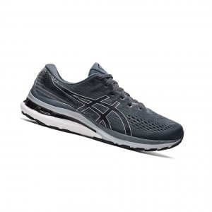 Asics GEL-KAYANO 28 Extra Weite Laufschuhe Herren Grau | 947JXSENL