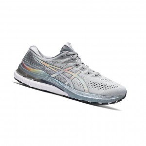 Asics GEL-KAYANO 28 Laufschuhe Herren Grau | 957WJVAZR