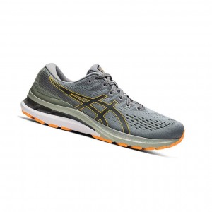 Asics GEL-KAYANO 28 Laufschuhe Herren Grau | 035IHCFGS