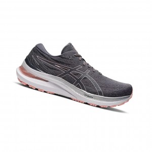 Asics GEL-KAYANO 29 Laufschuhe Damen Rosa | 097CGREXZ