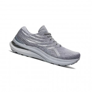 Asics GEL-KAYANO 29 Laufschuhe Damen Silber | 790ZBCELU