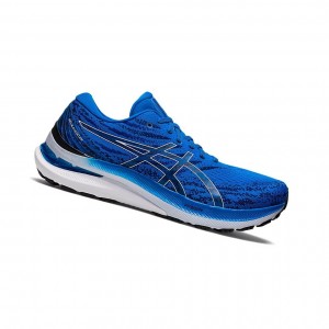Asics GEL-KAYANO 29 Laufschuhe Herren Blau Weiß | 681JENVIG