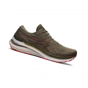 Asics GEL-KAYANO 29 Laufschuhe Herren Grün | 735CKWITE