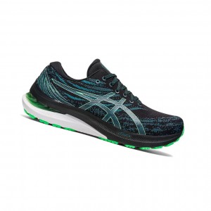Asics GEL-KAYANO 29 Laufschuhe Herren Schwarz | 290LKDHAY