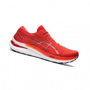 Asics GEL-KAYANO 29 Laufschuhe Herren Schwarz | 576CFZNTY