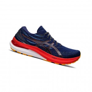 Asics GEL-KAYANO 29 Laufschuhe Herren Tiefes | 213QXWRTE