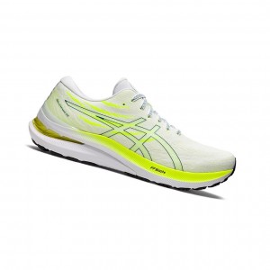 Asics GEL-KAYANO 29 Laufschuhe Herren Weiß | 673JVLOHW