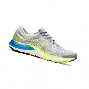 Asics GEL-KAYANO LITE Laufschuhe Herren Grau | 501JWQGYO