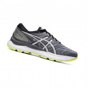 Asics GEL-NIMBUS 22 LITE-SHOW Laufschuhe Herren Grau | 068CNGYTR