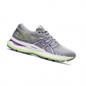 Asics GEL-NIMBUS 22 Laufschuhe Damen Grau | 386XBFPES