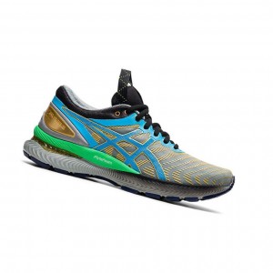 Asics GEL-NIMBUS 22 Laufschuhe Damen Grau | 689HYXEZO
