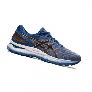 Asics GEL-NIMBUS 22 Laufschuhe Herren Blau | 205QFSERX