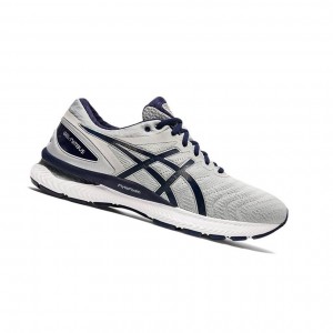 Asics GEL-NIMBUS 22 Laufschuhe Herren Grau | 206DEHAFL