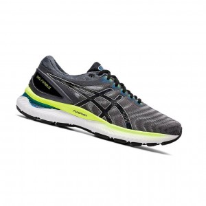 Asics GEL-NIMBUS 22 Laufschuhe Herren Grau | 468OHFPTQ