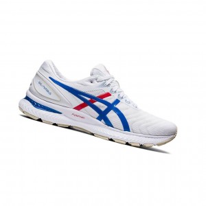 Asics GEL-NIMBUS 22 Laufschuhe Herren Weiß | 632FCQPHK