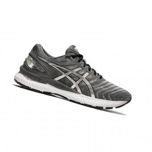 Asics GEL-NIMBUS 22 Platinum Laufschuhe Herren Grau | 104NOCDHM