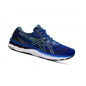 Asics GEL-NIMBUS 23 Laufschuhe Herren Blau | 836IMCJAX