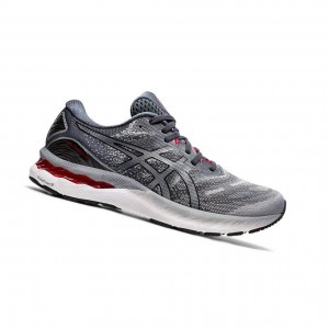 Asics GEL-NIMBUS 23 Laufschuhe Herren Grau | 508PNHIOF