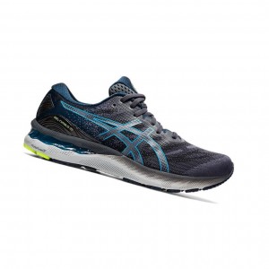 Asics GEL-NIMBUS 23 Laufschuhe Herren Grau | 049DGFPAM
