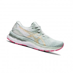 Asics GEL-NIMBUS 23 NEW STRONG Laufschuhe Damen Grün | 397HVTJFA